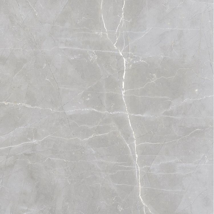 Luxury Amani Grey Polished 24 x 24